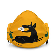 Load image into Gallery viewer, Xolo Mask