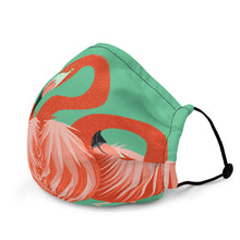 Load image into Gallery viewer, Amigos Face mask